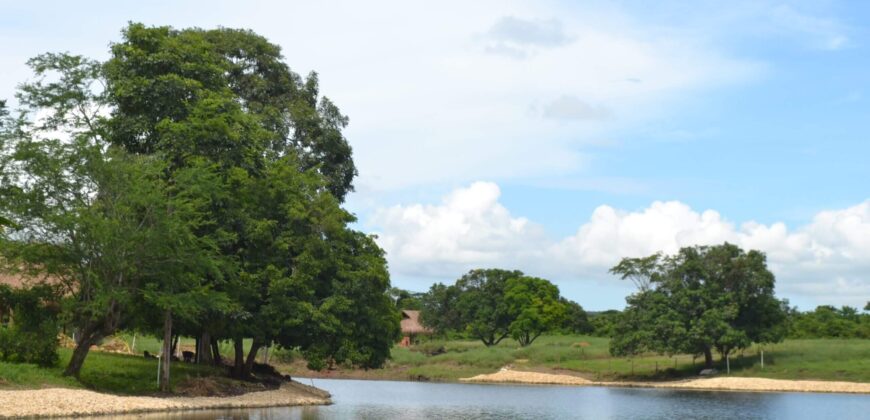 Club Náutico Los Robles