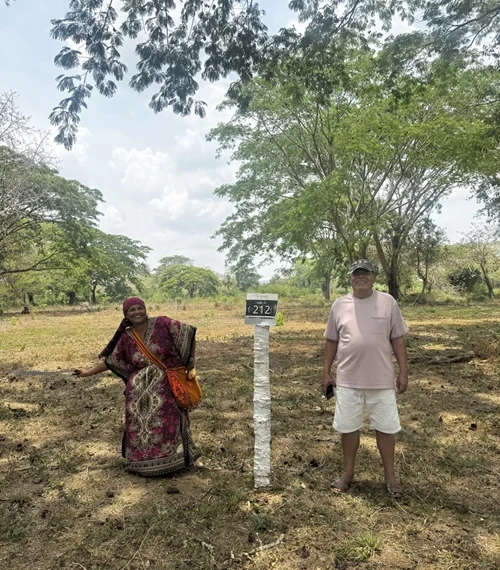 FAMILIA TABARES LOTE 212 AMARÚ