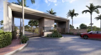 Las Palmas Condominio