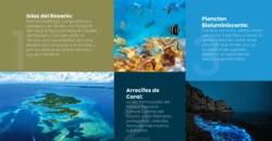 Barú Beach Barú Beach